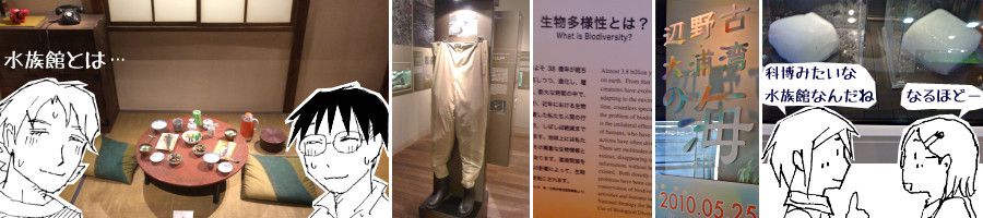 �Ȕ��݂����Ȑ����قƂ��������Ă͂ǂ��ł��傤