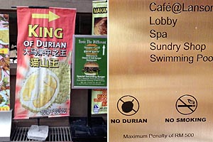 NO SMOKING, NO DURIAN�̕\��