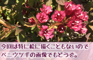 ����͓��ɊG�ɕ`�����Ƃ��Ȃ��̂Ńx�j�E�c�M�̉摜�ł��ǂ����B