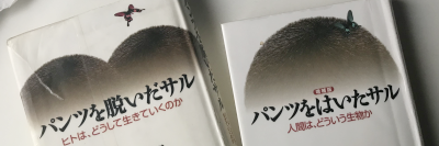 �w�p���c��E�����T���x�w����ŁE�p���c���͂����T���x���e