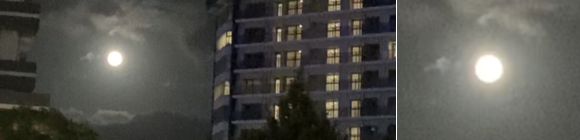 �}���V�����̊ԁA�_�̉��ɋP�������B�������A�b�v�ɂ��Ă��͗l�ЂƂȂ��A�����̔����~�ՁB