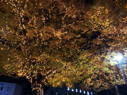 �g�F�̓d�����{���ꂽ�X�H���B