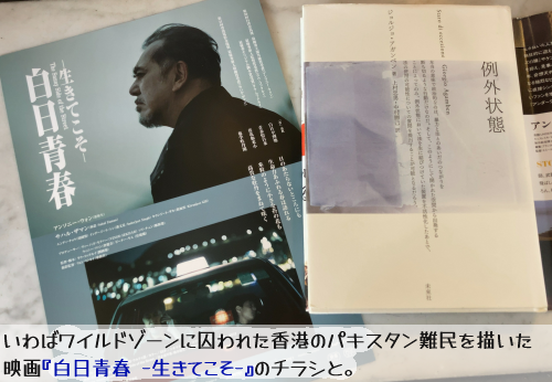 �P�s�{�w��O��ԁx�ƁA����΃��C���h�]�[���Ɏ���ꂽ���`�̃p�L�X�^�����`�����f��w�����t -�����Ă���-�x�̃`���V�B