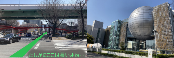 ���F�������ɒ�����ˁc�Ƌ��������������̎�{��ʁB�E�F���É��s�Ȋw�ق̊O��