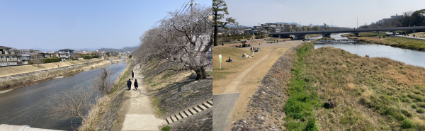 ���쉈����k�֓��