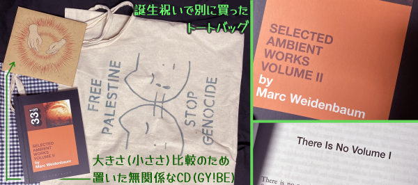 誕生日祝いで別に買った「FREE PALESTINE STOP GENOCIDE」のロゴと泣いてる猫の絵入りトートバッグと、当該の本、大きさ(小ささ)比較のため置いた無関係のGY!BEのCD。書名「SELCTED AMBIENT WORKS VOLUME II by Marc Weidenbaum」のアップと、冒頭「There is No Volume I」の文言