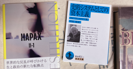 書影。左:「世界的な反乱が呼びかける生と政治の新たな転換点」の帯文も怪しいHAPAX II-1号。右:『史的システムとしての〜』。さらに右にブローデル『地中海』がちょっと見切れ。