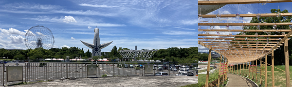 ���F���������E���Ɋϗ��ԁE�E�ɂ��Ղ�L��̉����g���]�����A���z�̓���w�ォ��B�E�F�G���g�����X�E�؂̘g�g�݂ŏo������L�̏�ŗh�ꂳ���߂��K���X����B