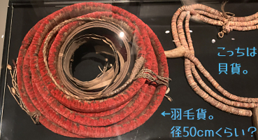 �Ԃ��Ƃ�����������H�щ�(�a50cm���炢�H)�ƁA�ׂ̊L�݁B