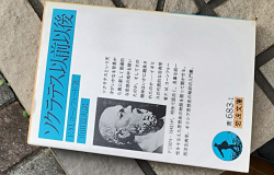 ���e�F�\�N���e�X�ȑO�Ȍ�