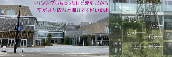 金沢美術工芸大学のエントランスと透明板に白線で刻まれた案内。トリミングしちゃったけど、郊外なので開けた空がまた好いのよ…