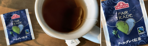 �g�b�v�o�����̃t�F�A�g���[�h�g��(�A�[���O���C)�摜�B