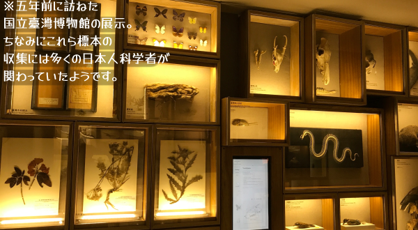 �ܔN�O�ɖK�˂�������p�����ق̓W���B�K���X�̕W�{���Ɏ��߂�ꂽ�A���⒱�E���i�Ȃǂ̕W�{�̎��W�ɂ́A�����̓��{�l�Ȋw�҂��ւ���Ă����悤�ł�