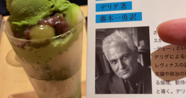 �w�A�f���[�x�\���̃f���_�̎ʐ^�ƁA�����p�t�F����ׂ��摜�B