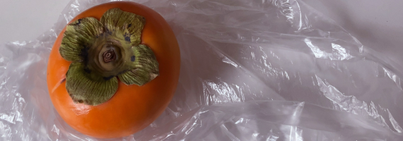 �X�[�p�[�̃N�V���N�V�����̂���|���܂̏�ɁA������ɒu���������Ȋ`�̎ʐ^�B