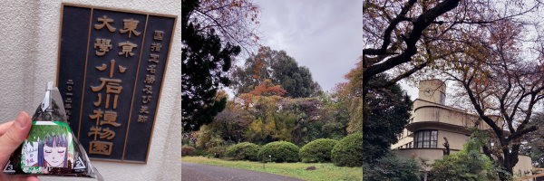 ���F�u���w�薼���y�юj�ՁE������w���ΐ�A�����v�̕\�D�Ɏ��Q�̂��ɂ���B���E�����������X���o�}����G���g�����X�B�E�F�����{�݂炵���Â������B