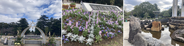 ���F��������������A�[�`(������Ȃ�)���o�}������������B���F�����ɐA����ꂽ�ԁX�B�E�F���m���ɑ���ꂽ�r�B�₲���B