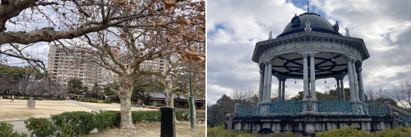 ���F�L���C�ɗt�𗎂Ƃ����������B�E�F���m���̃h�[���B