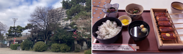 ���F����I�ɘa���̎��؂Ɉ͂܂ꂽ���T�����B�E�F�������X�ŃE�i�M�F�Ɏd�グ�������̓c�y�ɁA���сE���z�����E�����񂱁E�ϕ��E�������V�̂��񂴂������񂾓c�y�Z�b�g�B