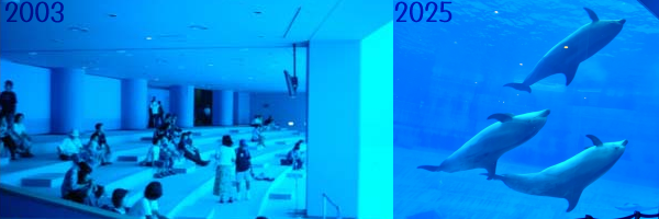 ���F2003�N�ɎB�e�����C���J���[���S�i�B�E�F����B�����C���J�����̉摜�B