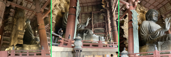 �ޗǂ̑啧�A�w�ʁE���Ŕ��������ꂽ���ʁE�΂߂���̃A���O���ł̎ʐ^�B