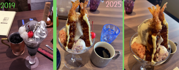 ���F2019�N�̌Ӗ��p�t�F�B���E�E�F2025�N�̊C�V�t���C�p�t�F�B