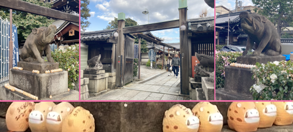 �����x���V���̍��C�m�V�V�ƁA�����̏��C�m�V�V�B�f�Ă����ȁH