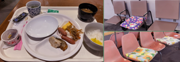 ���F�M�̏�ɍڂ�����̂����肸�A��̏��M���ڂ������H�B�E�F���z�c���[���ꂽ�w�̃x���`�B