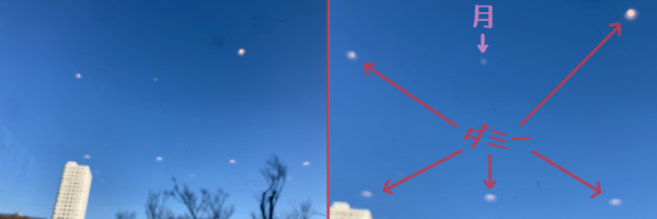 ������̒��߁B�������̂ЂƂ��������̌��ŁA�c��͓X���̃��C�g�̏Ƃ�Ԃ��B