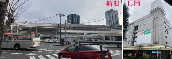 ���F���Ⴆ��悤�Ƀ��_���ɋ��剻�����V���w�B�E�F���������ꂫ���������w�O�̃V���b�s���O�Z���^�[�B