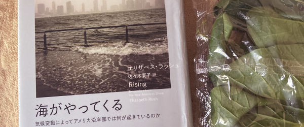 鉄のてすりを水没させ、はるか彼方の摩天楼まで海が浸した写真をフィーチャーした『海がやってくる』書影。